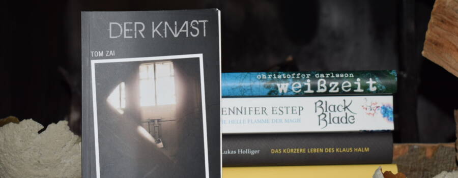 Mein Lesemonat November 2017