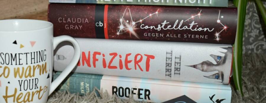 Mein Lesemonat Dezember 2017