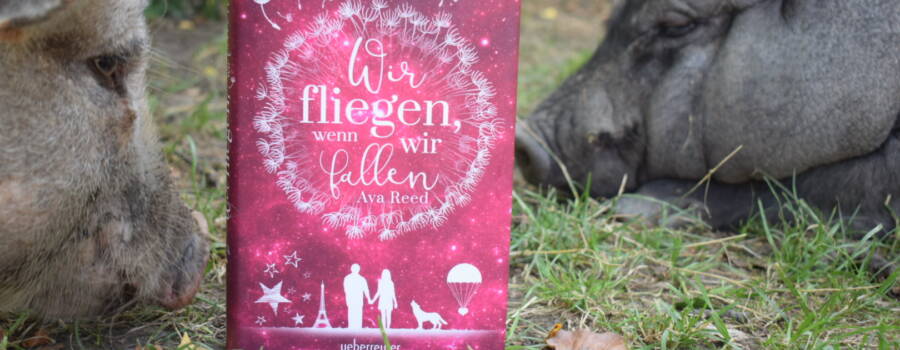 Wir fliegen, wenn wir fallen / Rezension
