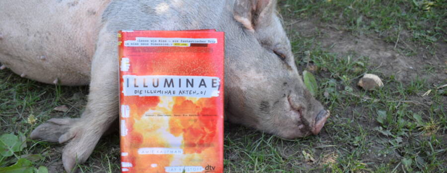 Illuminae (1) /<br  />Rezension