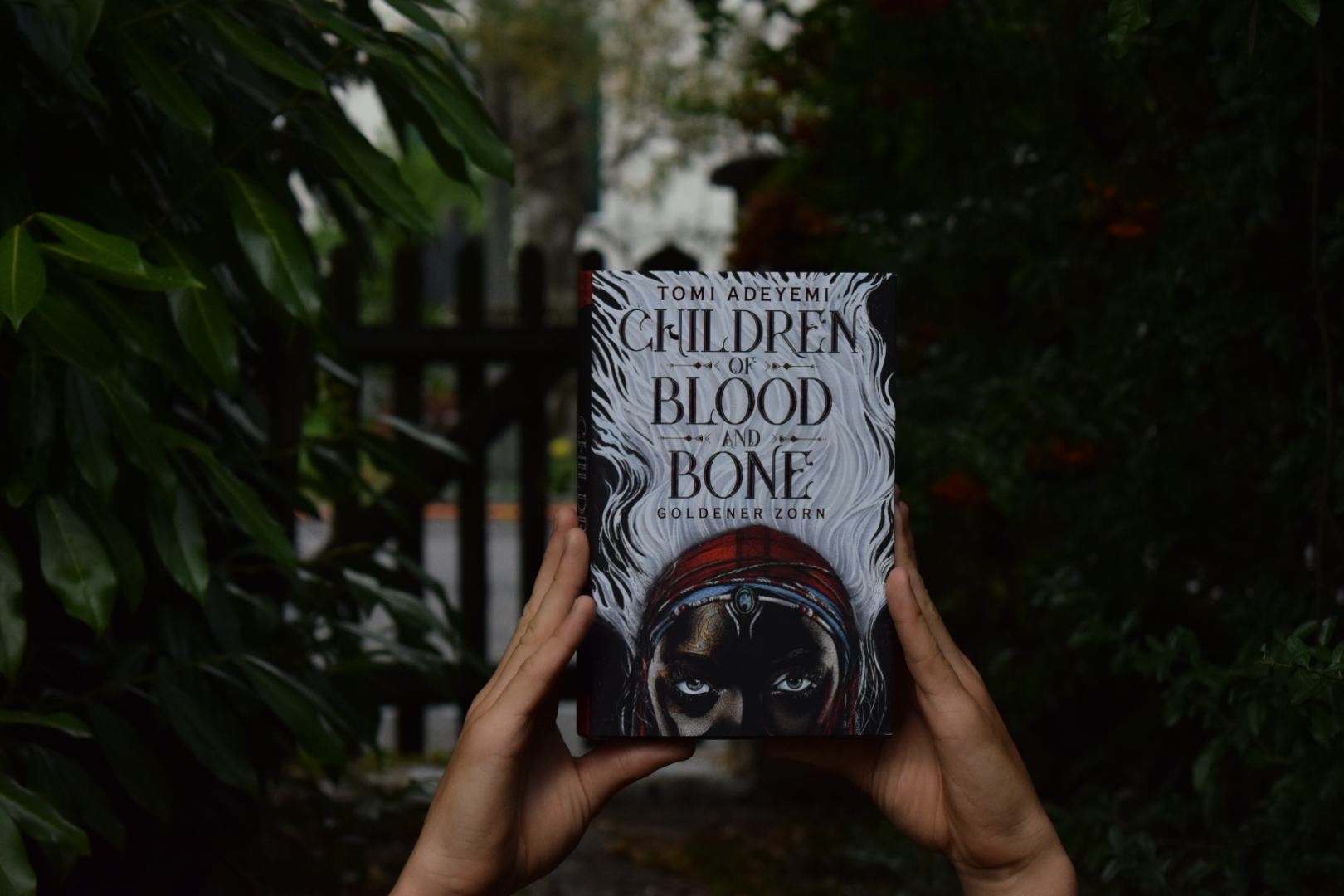 Children of Blood and Bone: Goldener Zorn (1) / Rezension