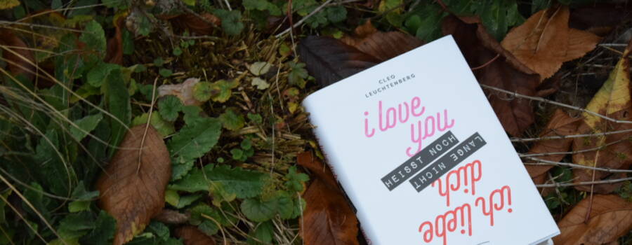I love you heisst noch lange nicht ich liebe dich / Rezension