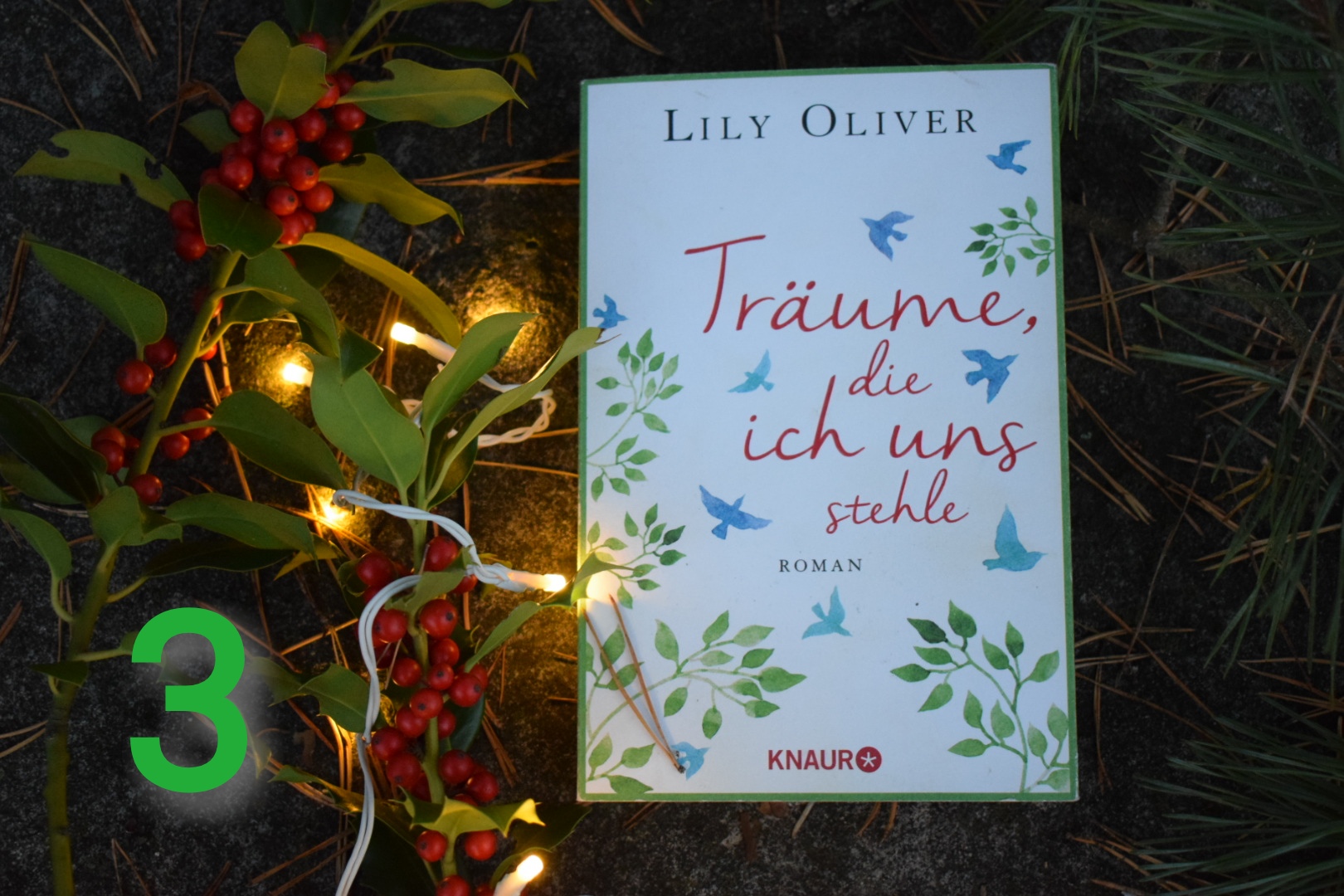 Träume, die ich uns stehle /  Rezension