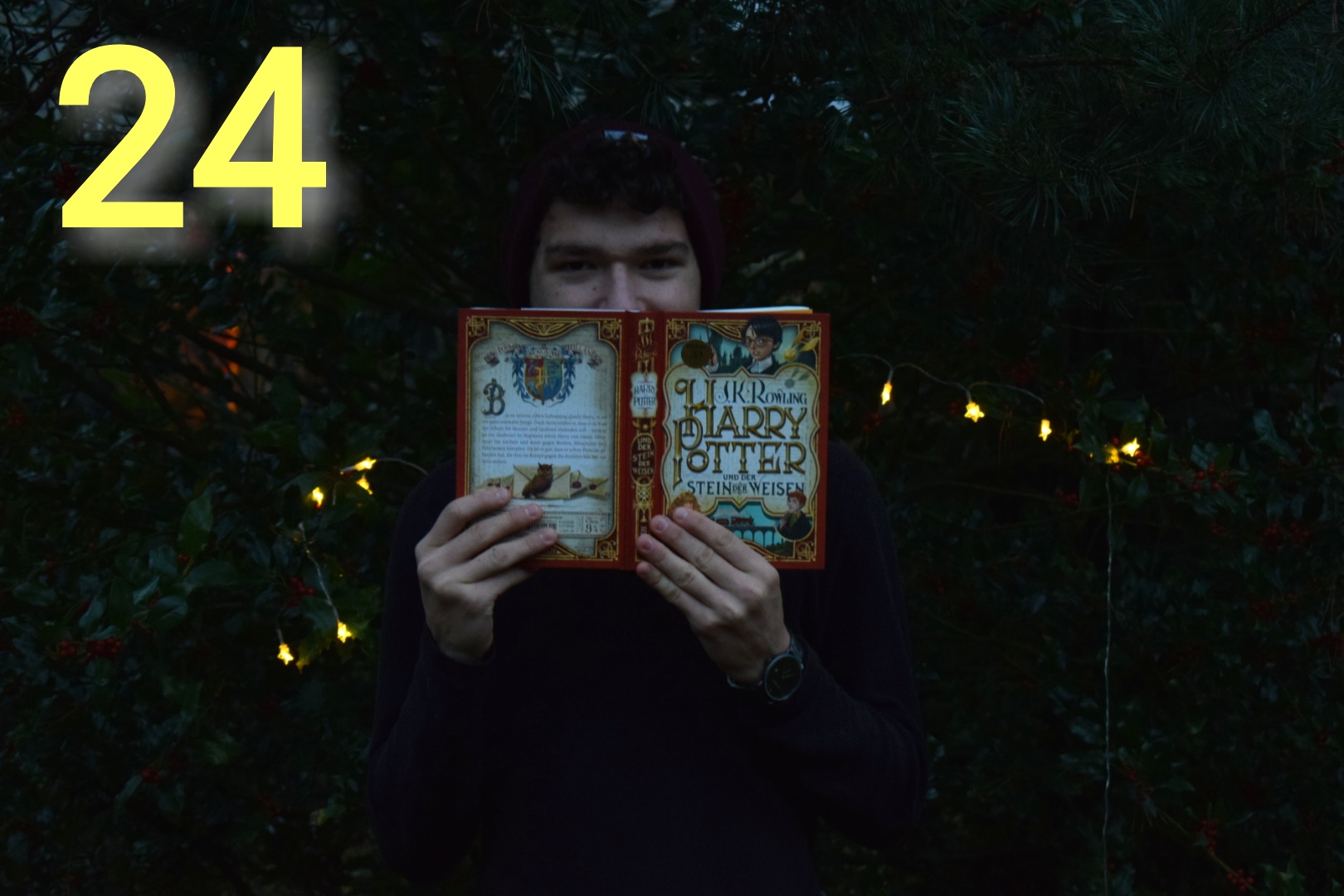 Eure Gründe Harry Potter zu lesen