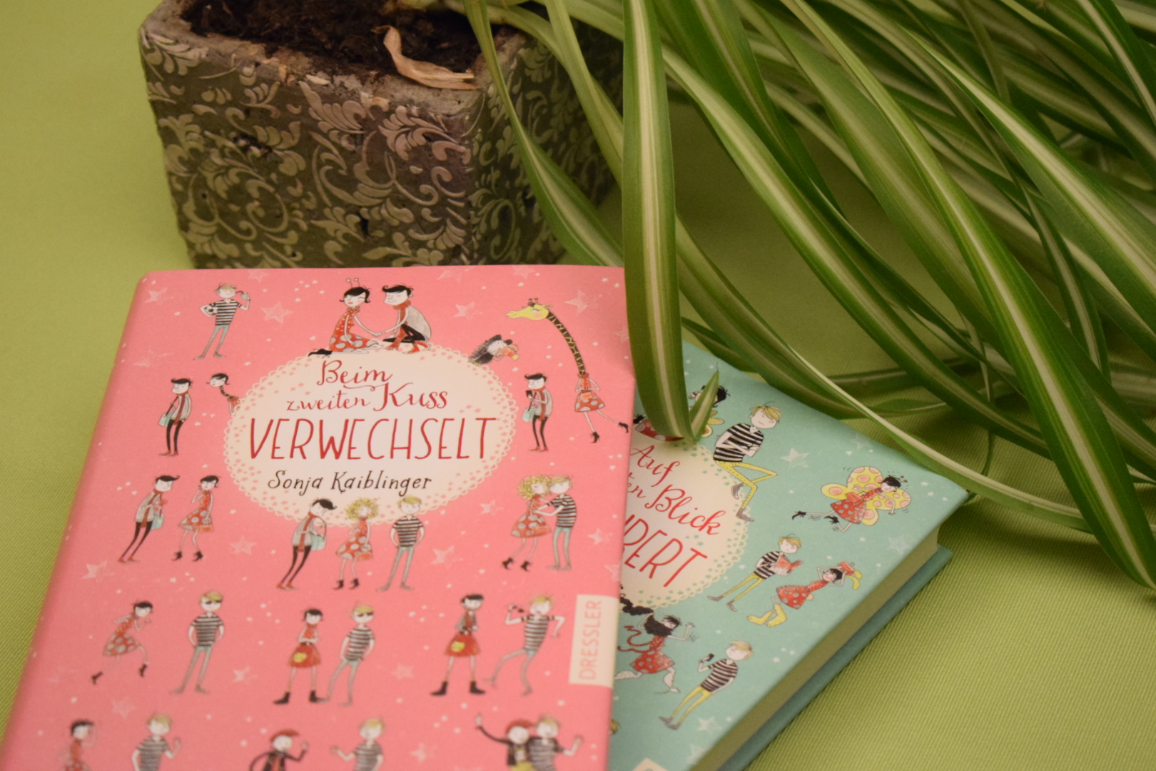 Beim zweiten Kuss verwechselt (2) / Rezension