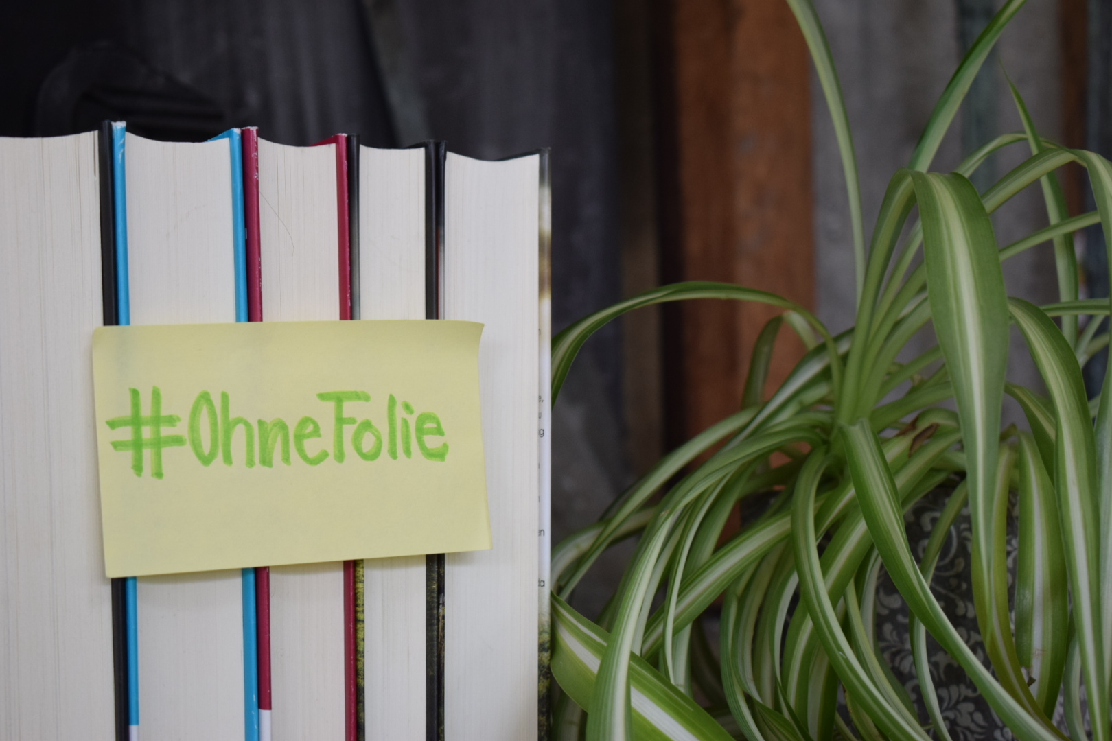 Es ist unser Planet | Sonntagsgedanken #47