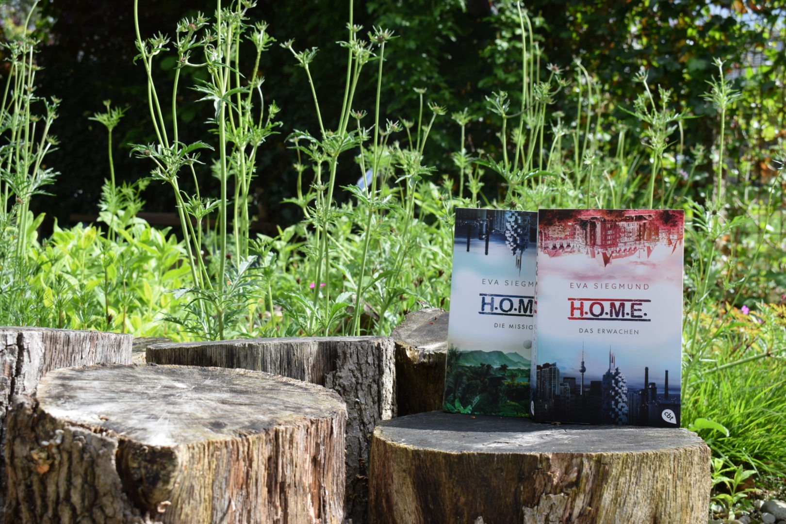 „Ich finde Fridays for Future grossartig“ | Interview Eva Siegmund