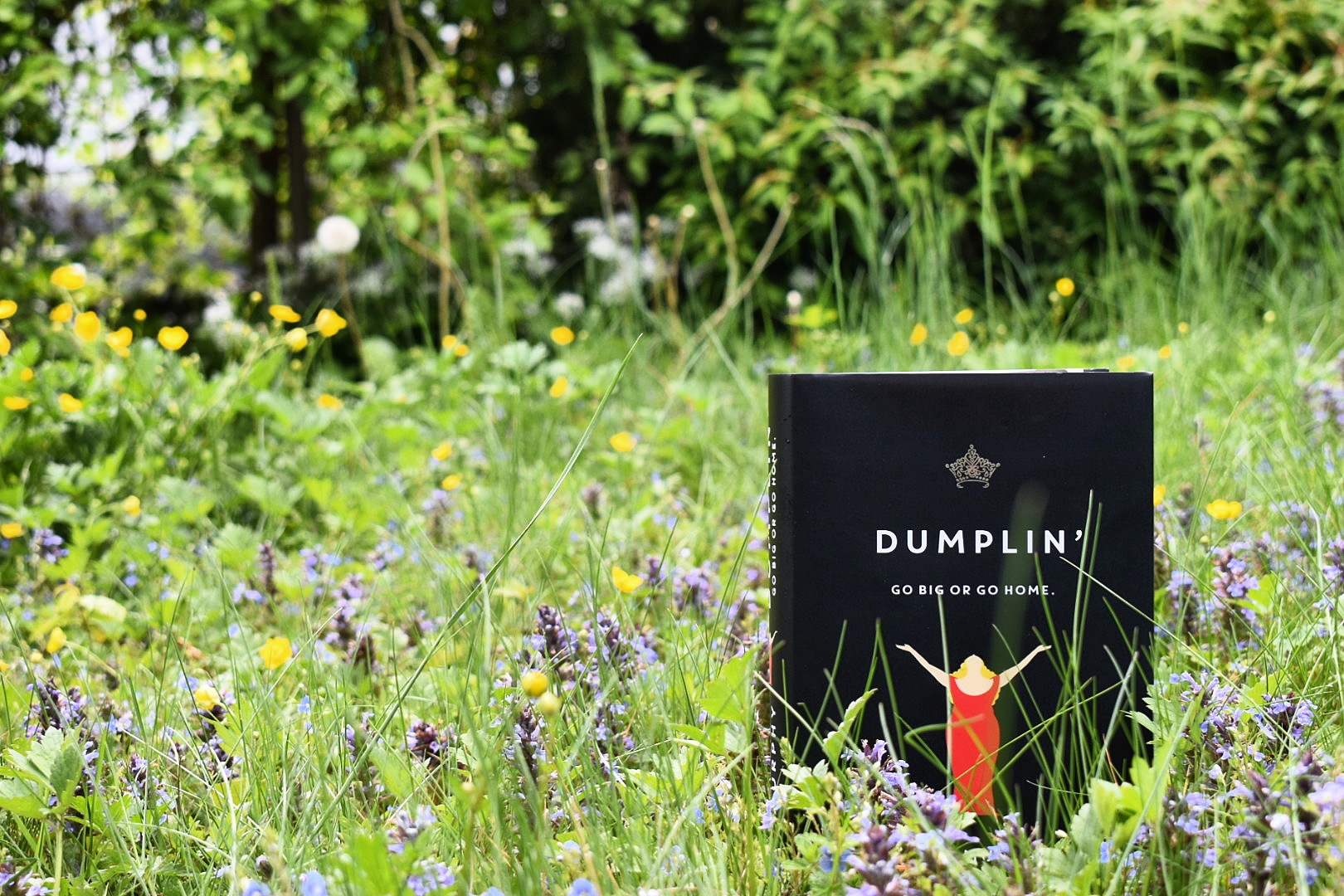 Dumplin‘ | Buch vs Film