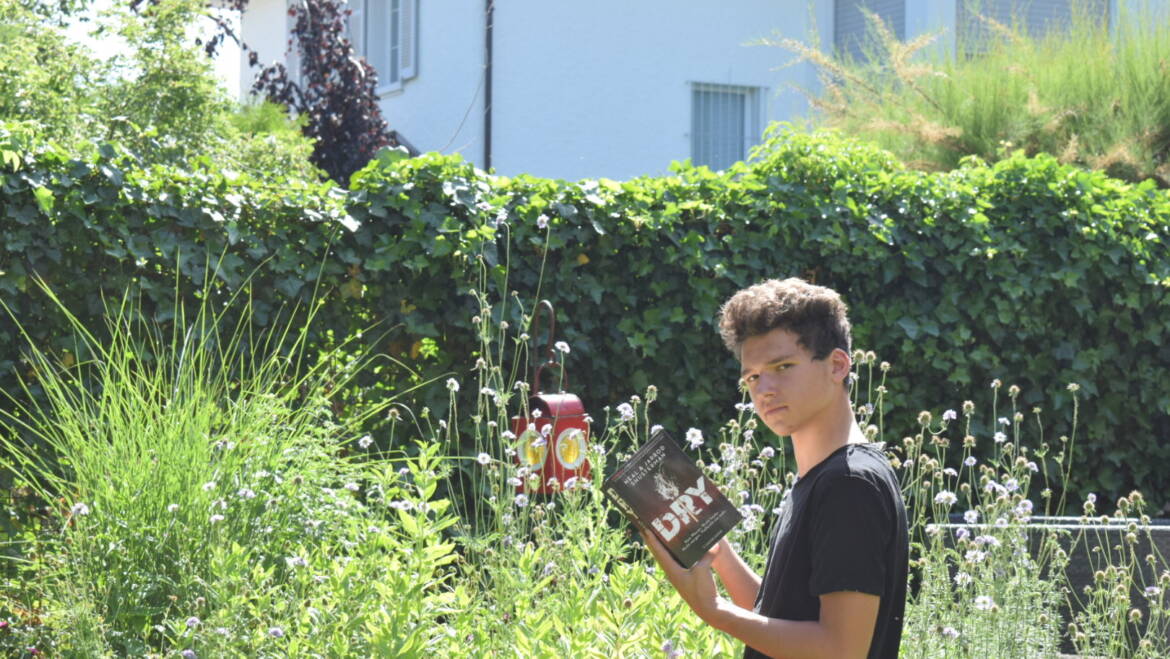 DRY / Rezension