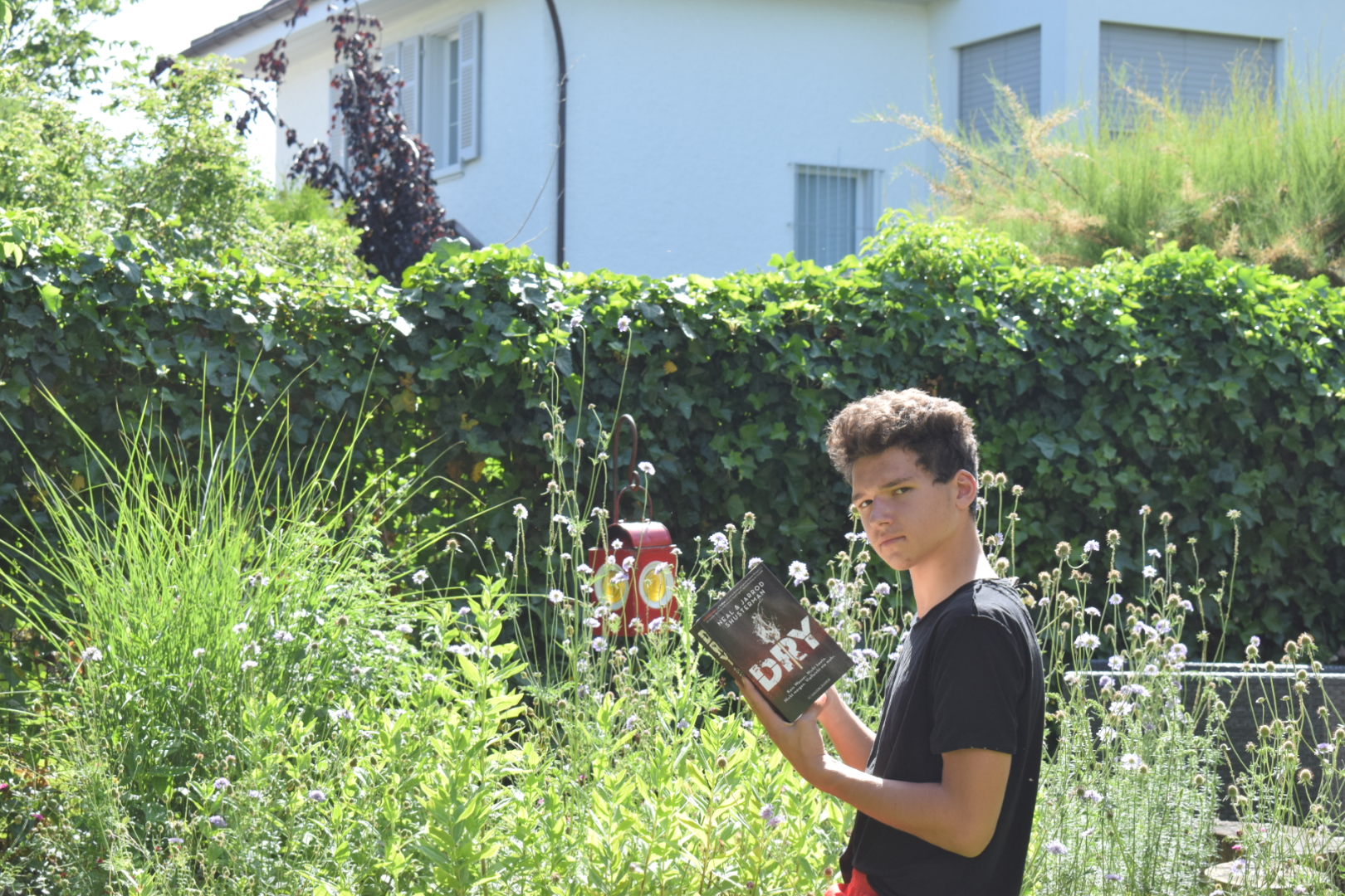 DRY / Rezension
