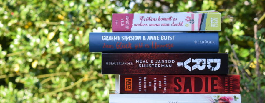 Sommerlektüre-Tipps 2019 | Teil 1