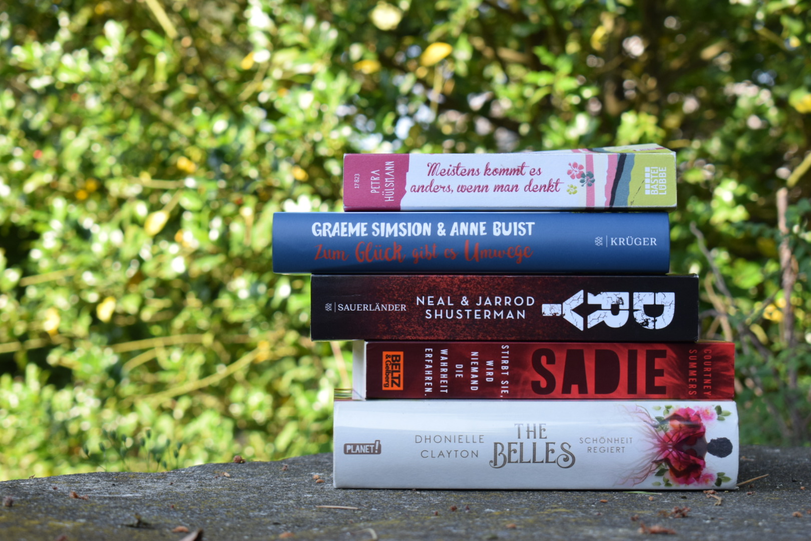 Sommerlektüre-Tipps 2019 | Teil 1