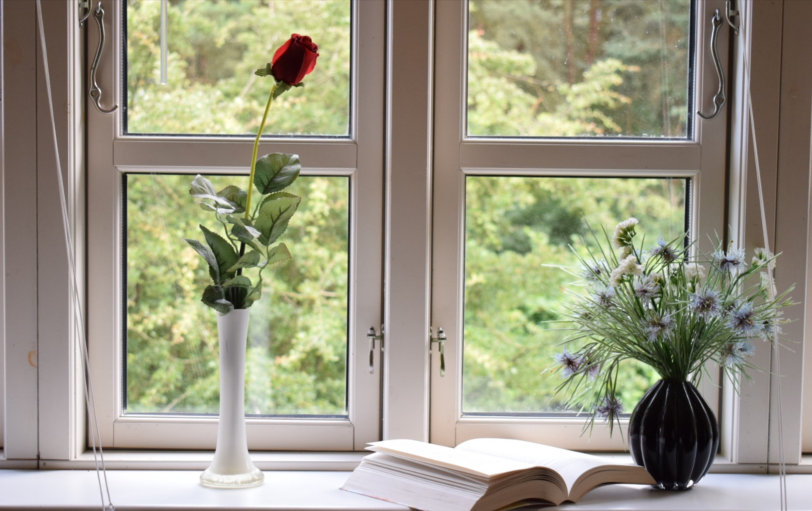 Mid Year Book Freak Out TAG 2019