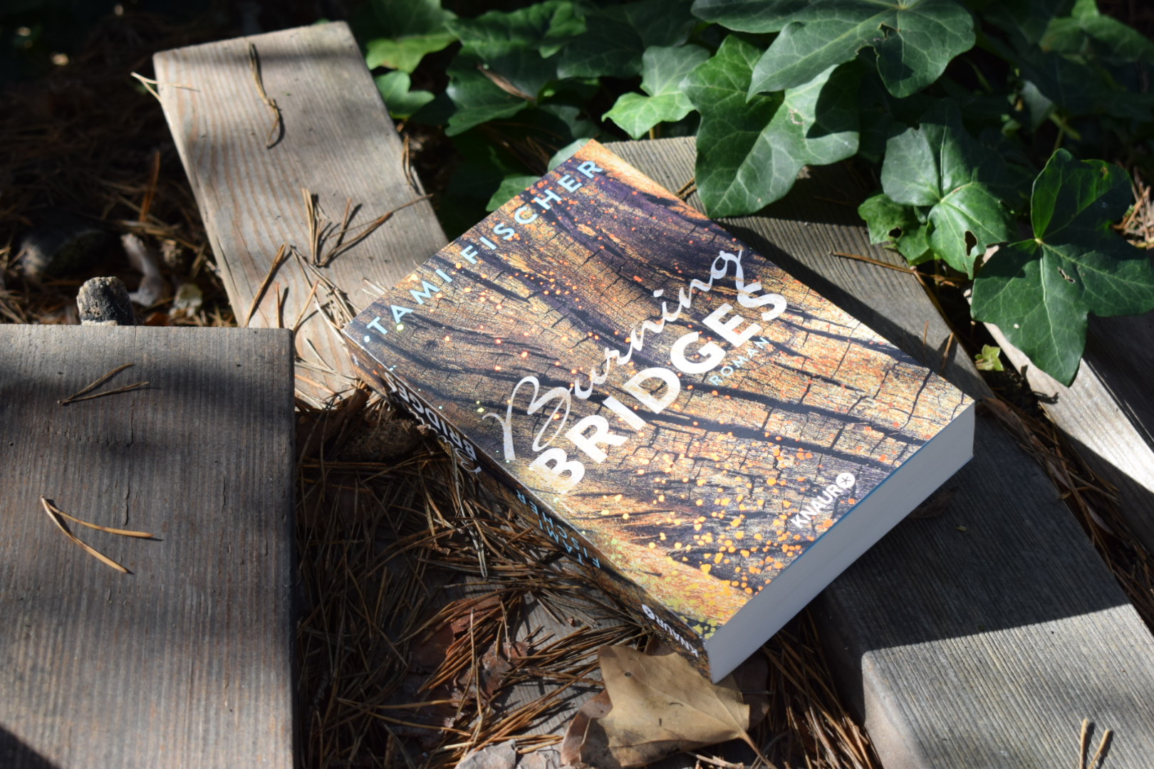 Burning Bridges / Rezension