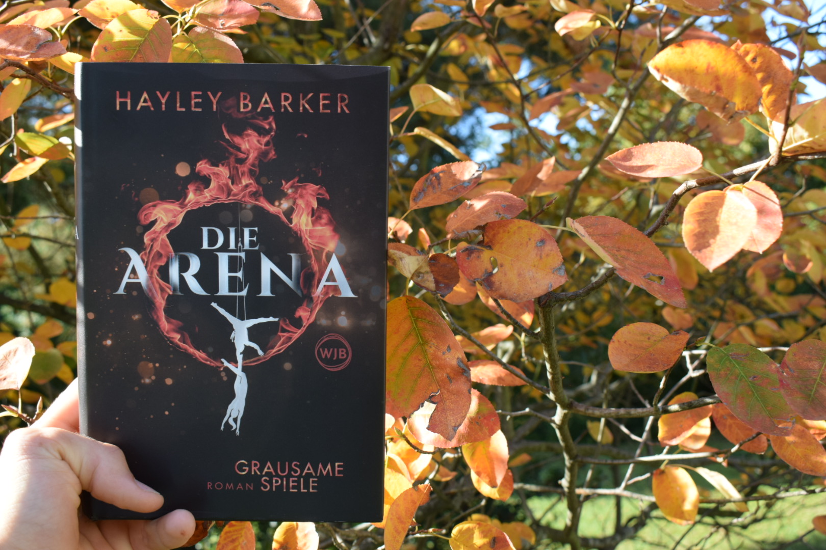 Die Arena: Grausame Spiele (1) / Rezension