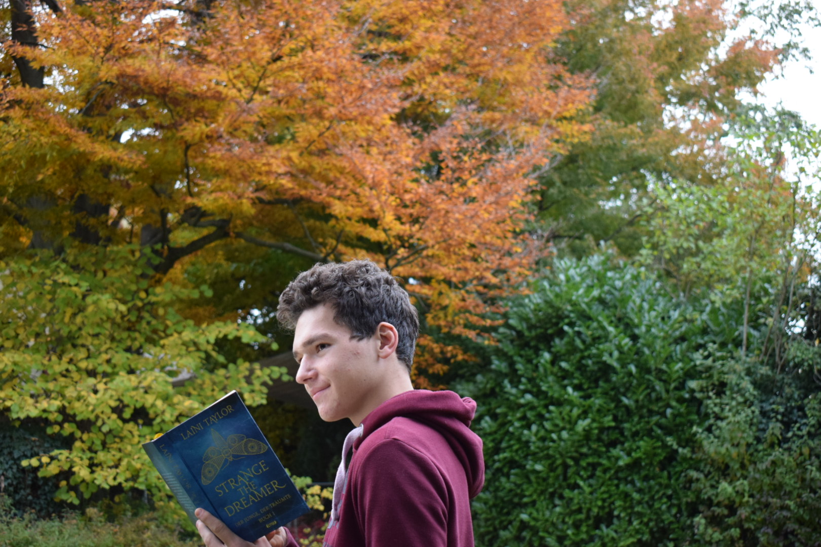 Strange the Dreamer (1) / Rezension