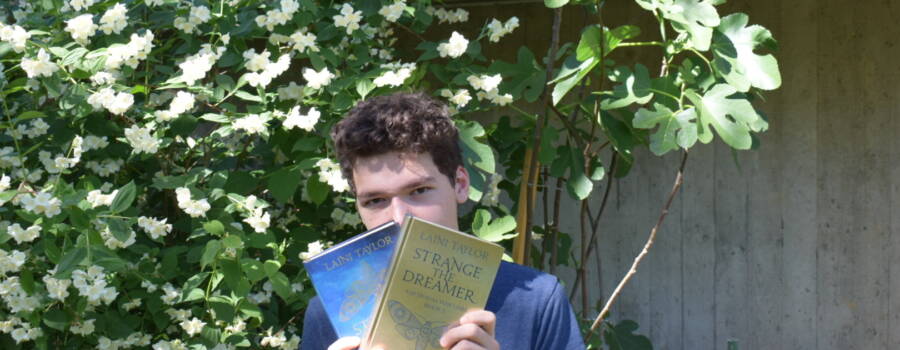 Strange the Dreamer (2) / Rezension