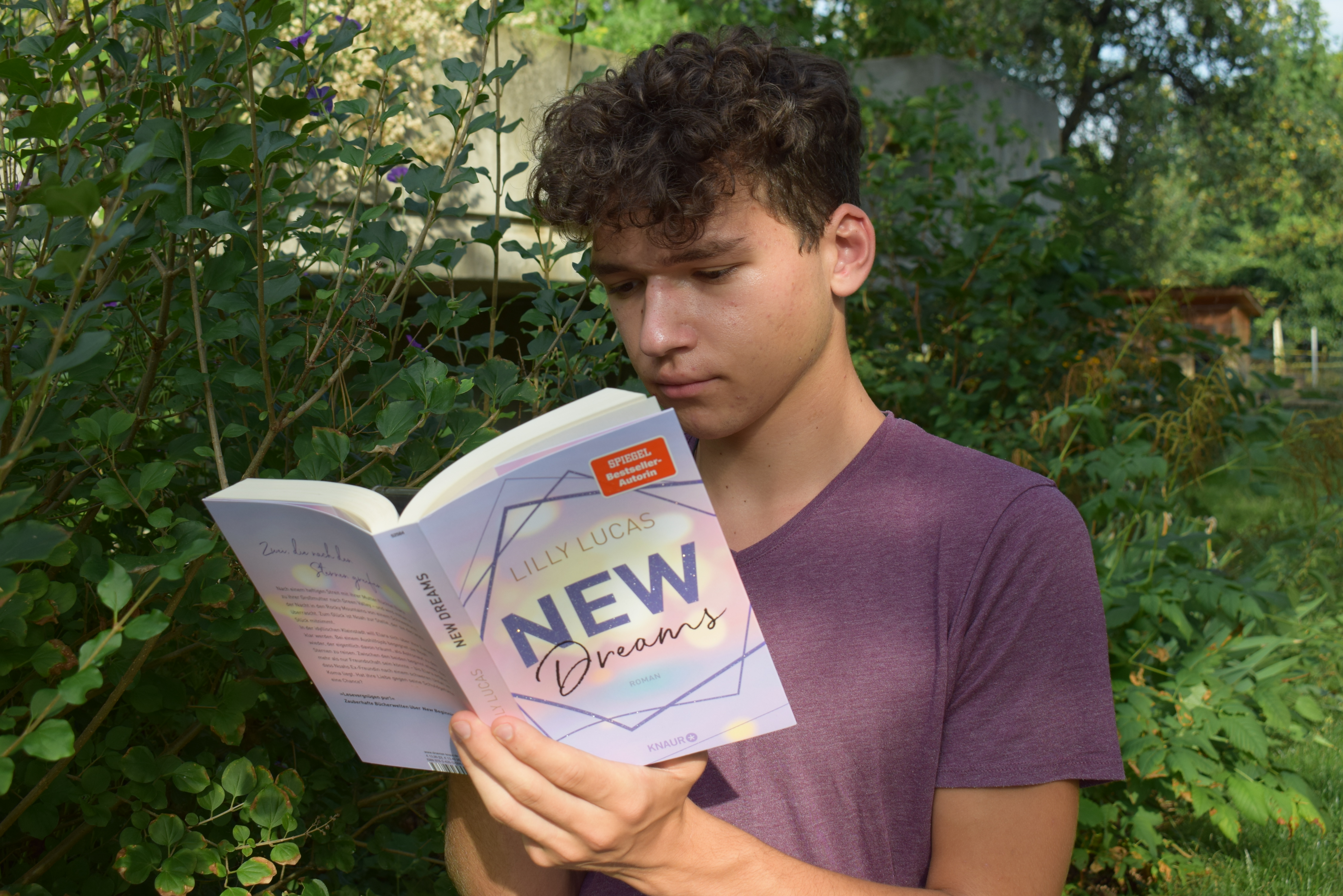 New Dreams (3) / Rezension