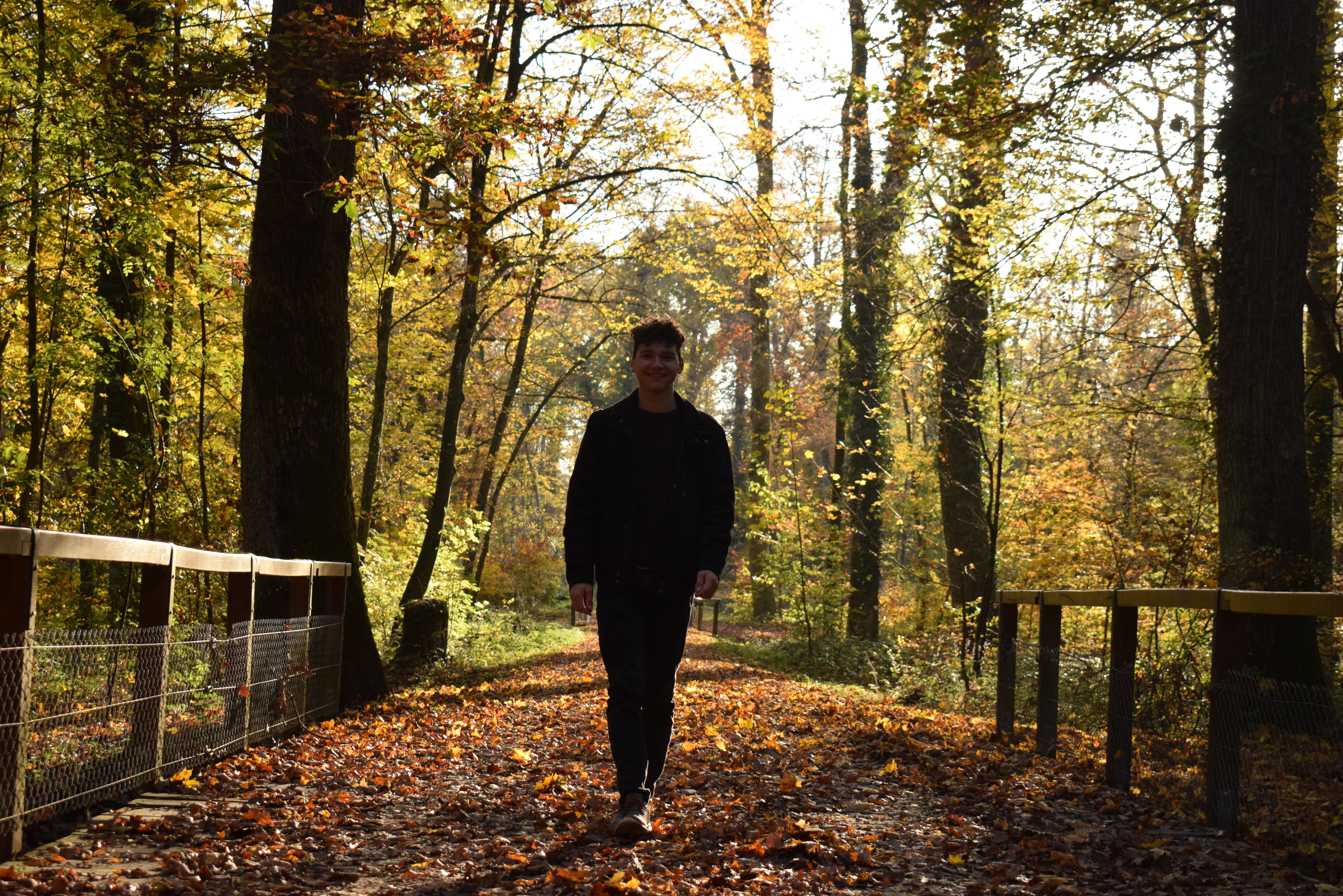 The Music of What Happens / Rezension