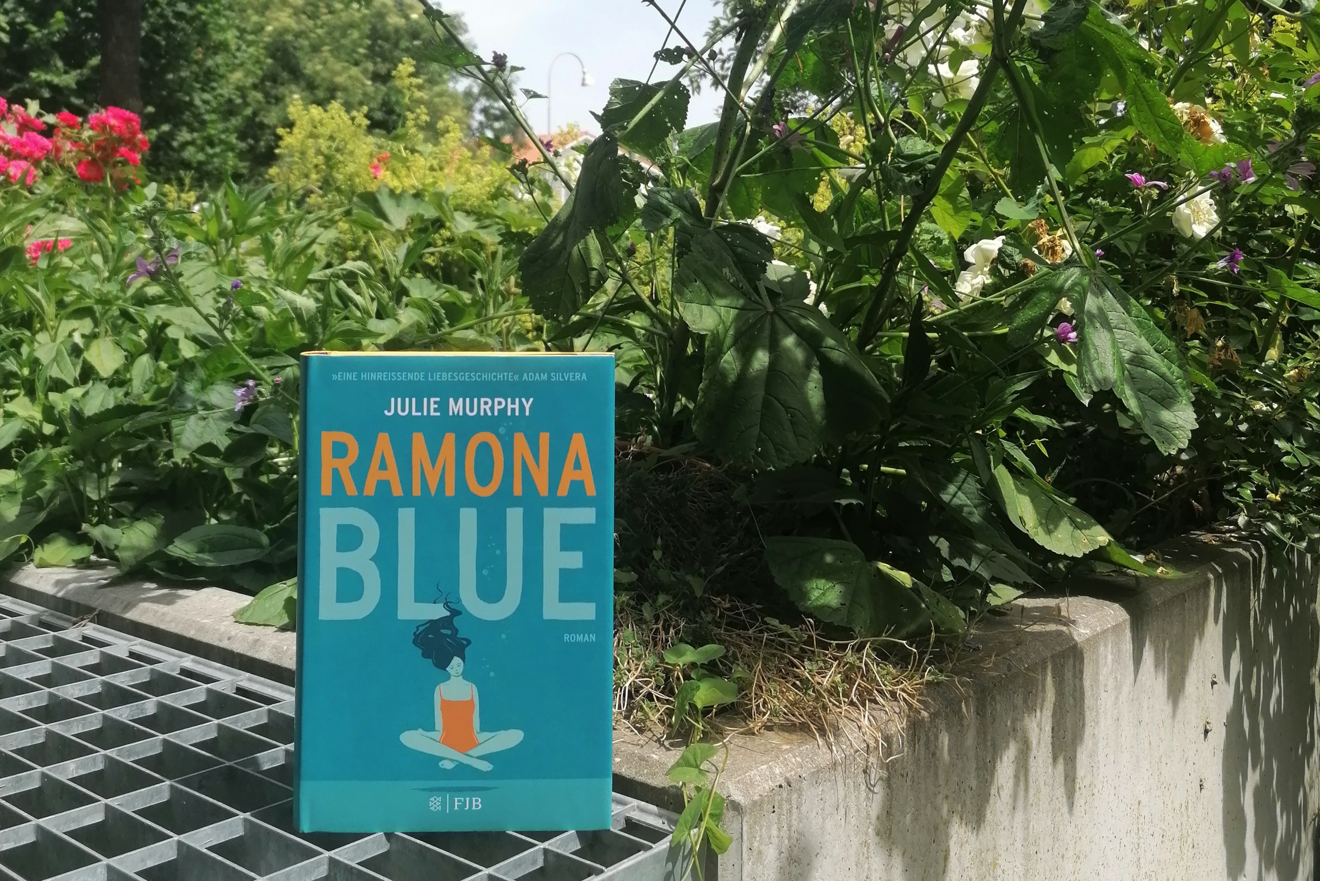 Ramona Blue / Rezension