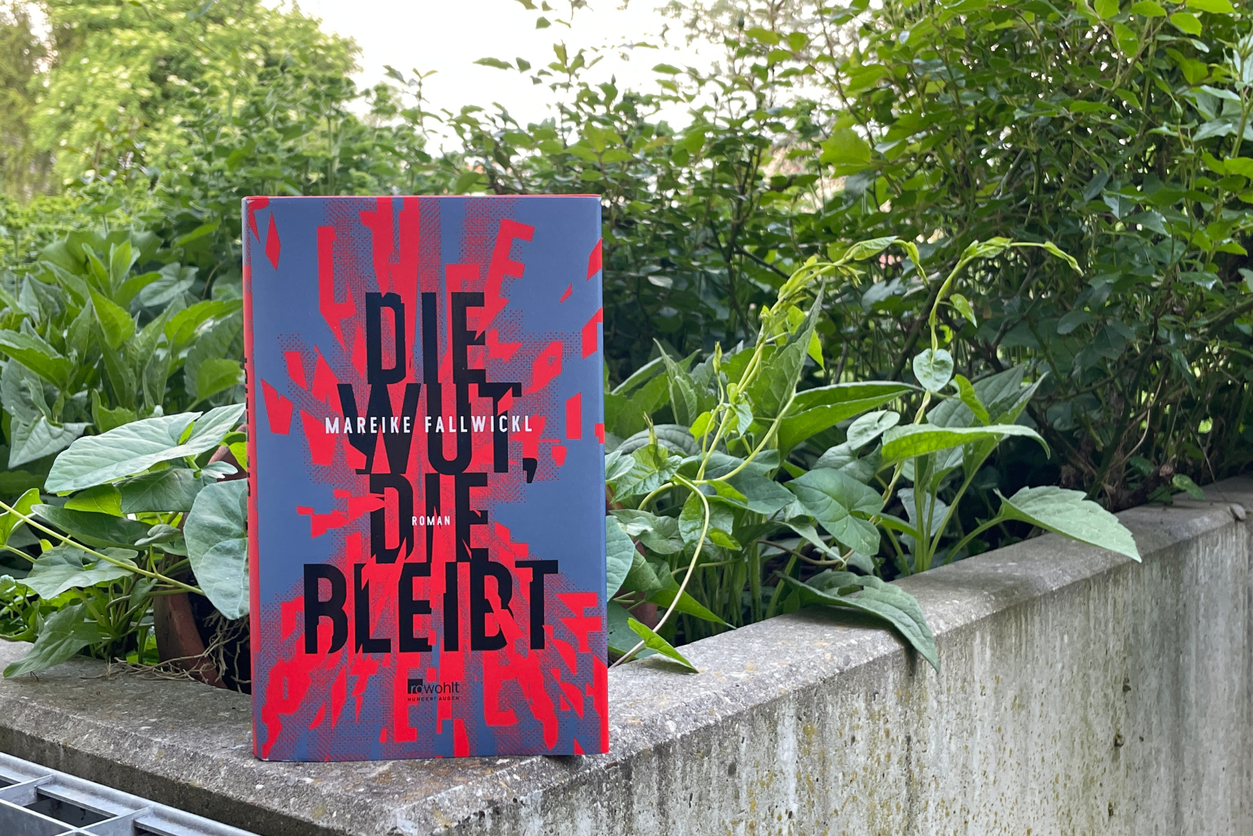 Die Wut, die bleibt / Rezension