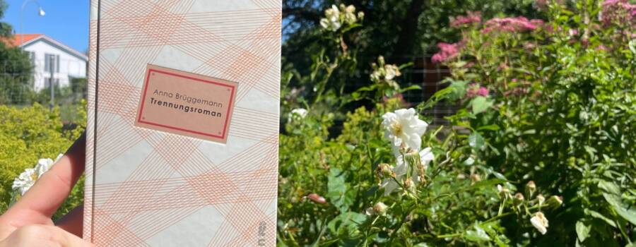 Trennungsroman / Rezension