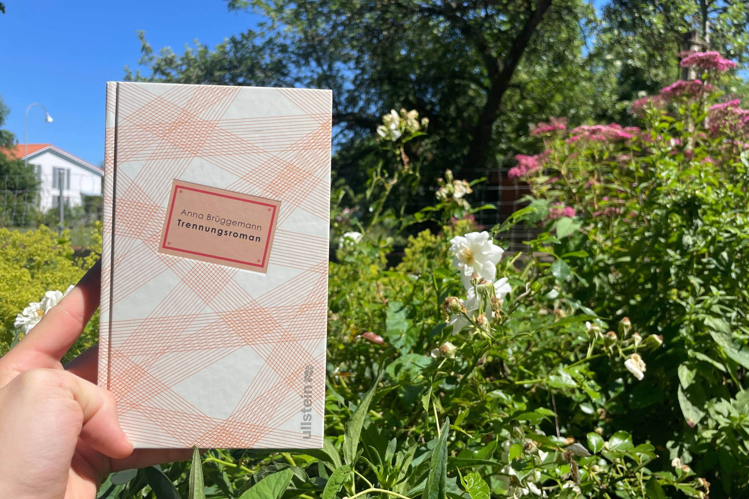 Trennungsroman / Rezension